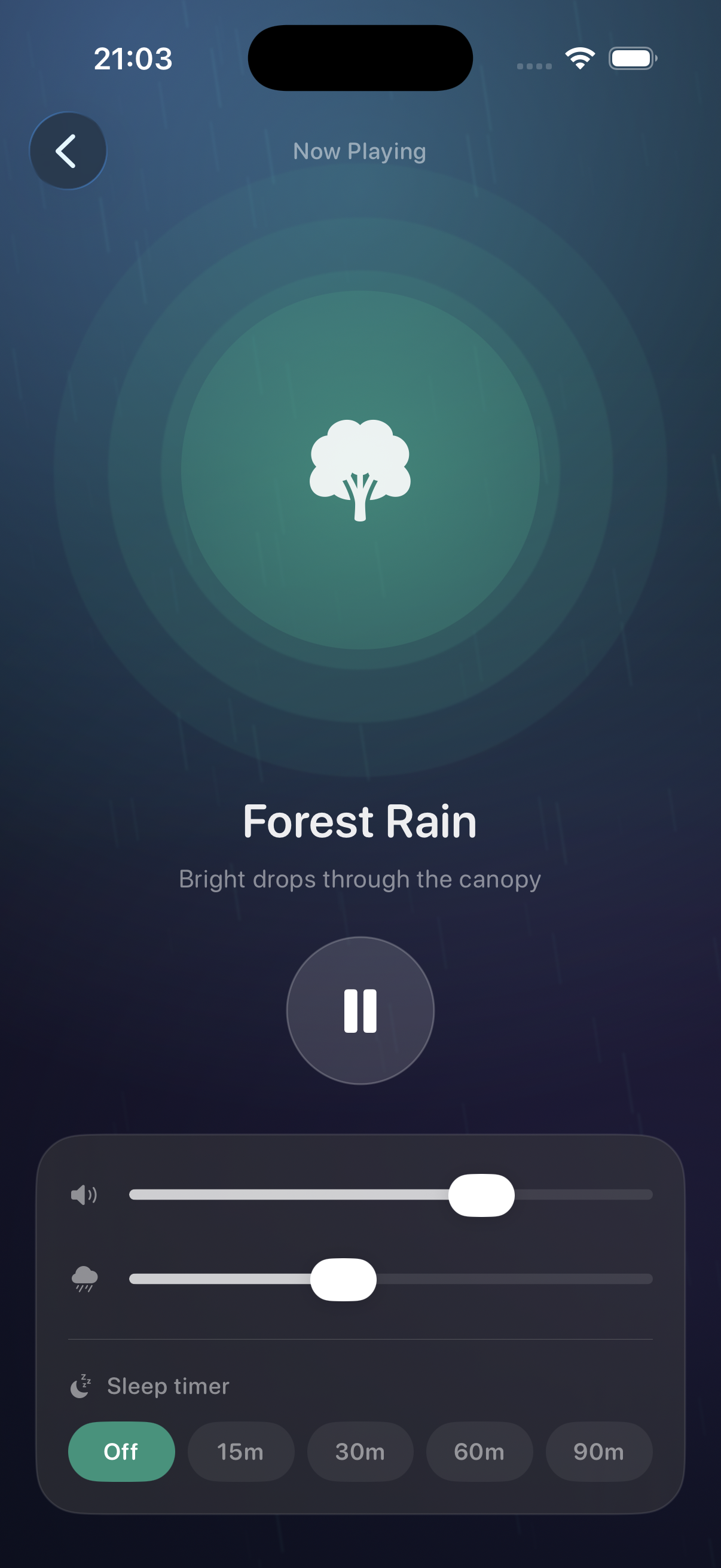RainLike now playing screen